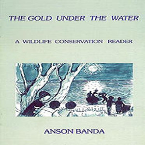 Gold Under the Water