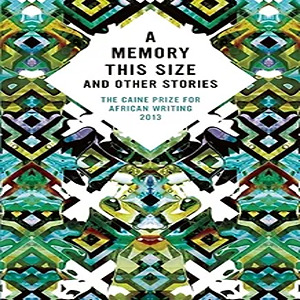 A Memory This Size(2013)