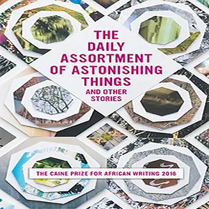 The Daily Assortment of Astonishing Things(2016)