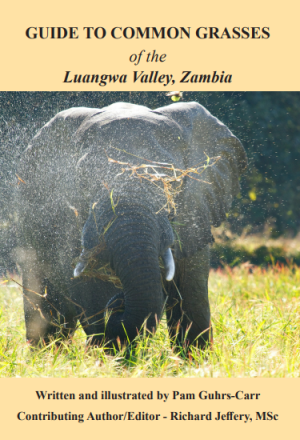 Field Guide to Common Grasses of the Luangwa Valley, Zambia