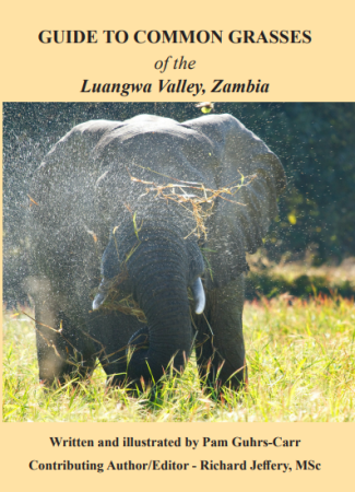 Field Guide to Common Grasses of the Luangwa Valley, Zambia